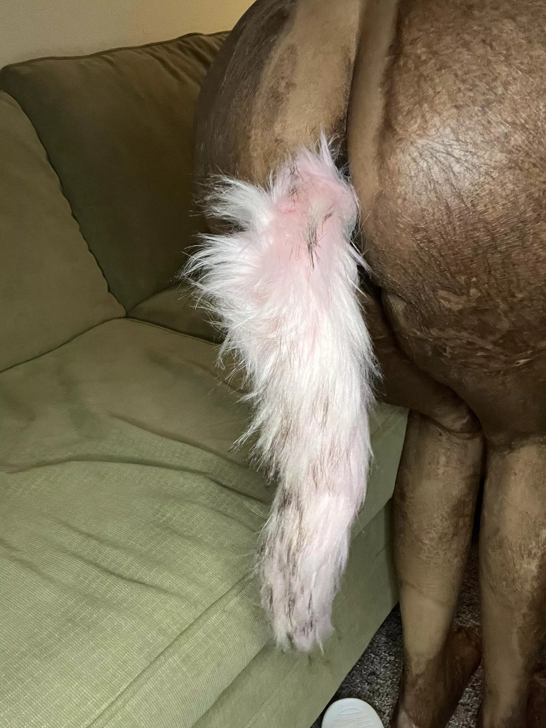 Newest Gift… posted by VivienneBlaise