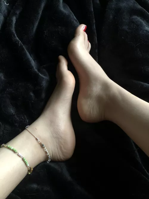 Nice and arched by jarvizo666