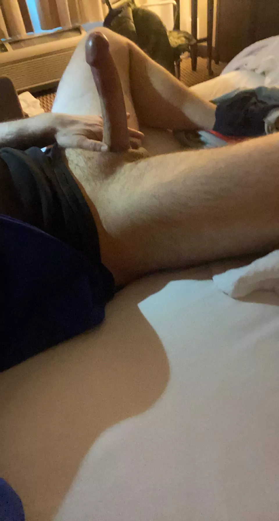 Nice cock? posted by DrewBreeds