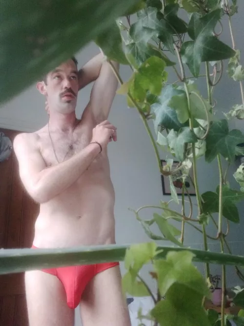 nice plants by TheMoonyDandy