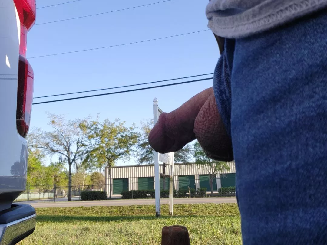 Nice sunny day. posted by Cbreezz