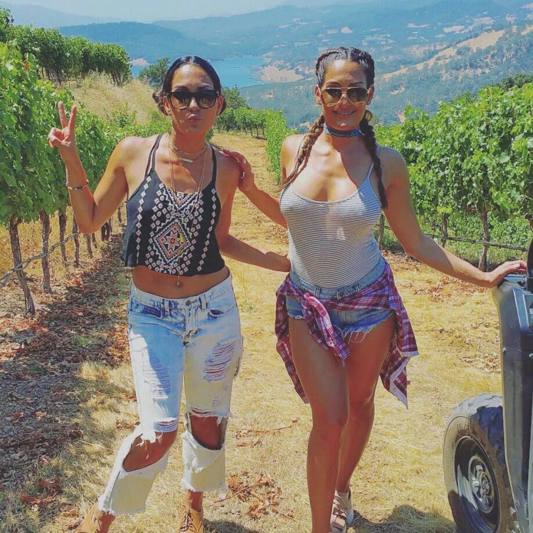 Nikki and Brie the best duo posted by Sufficient_Poem2930