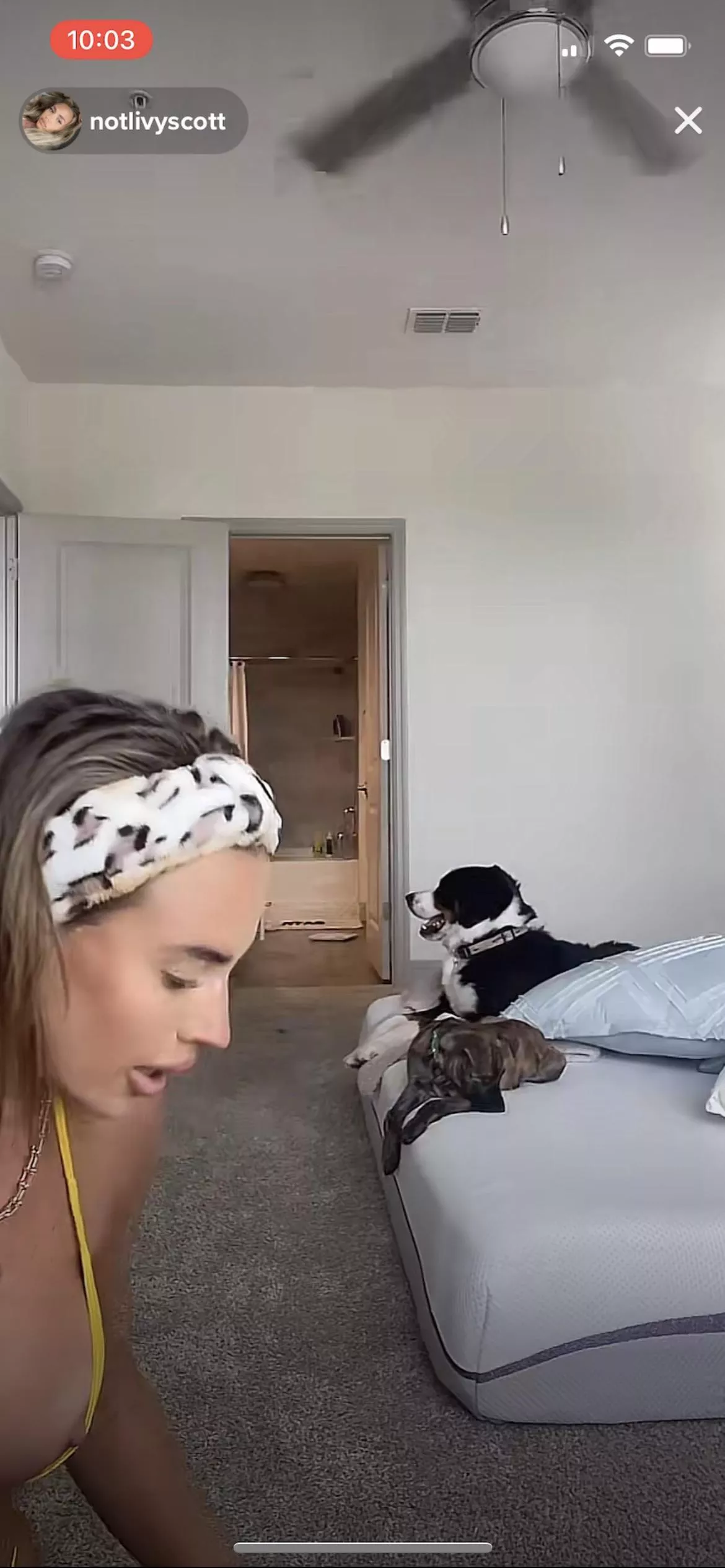 Nip slip in live @notlivyscott posted by mictoaunsy