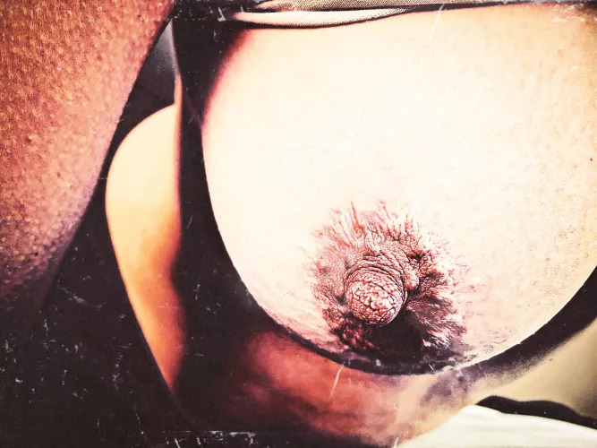 Nippes by Early-Candy642