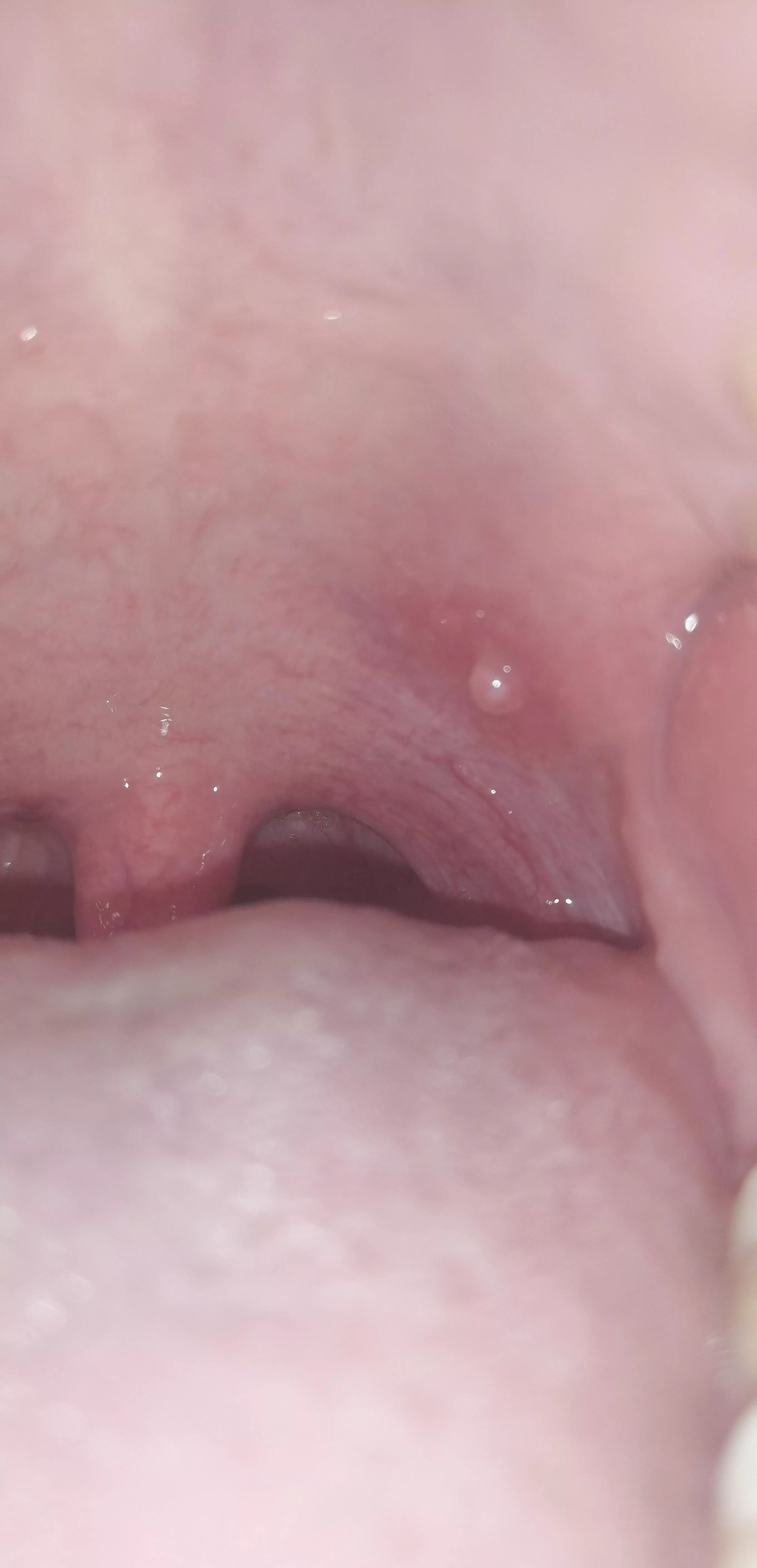 No idea what you are. All I know is that you are the forbidden pop and I feel every second of your existence. posted by gianfar