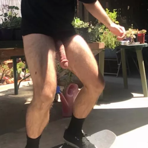No rules against nudity in my family - skating with my doodle showing by circumcised-male