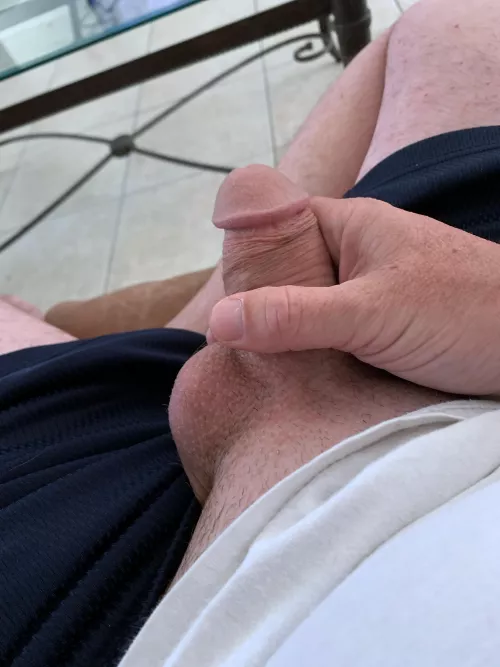 No where near full grown. Just looking for a female playmate. by Crazy_guy_n_urhead77