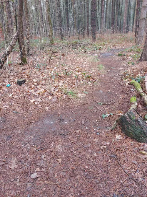 Nomanshill toda by Due-Personality8264