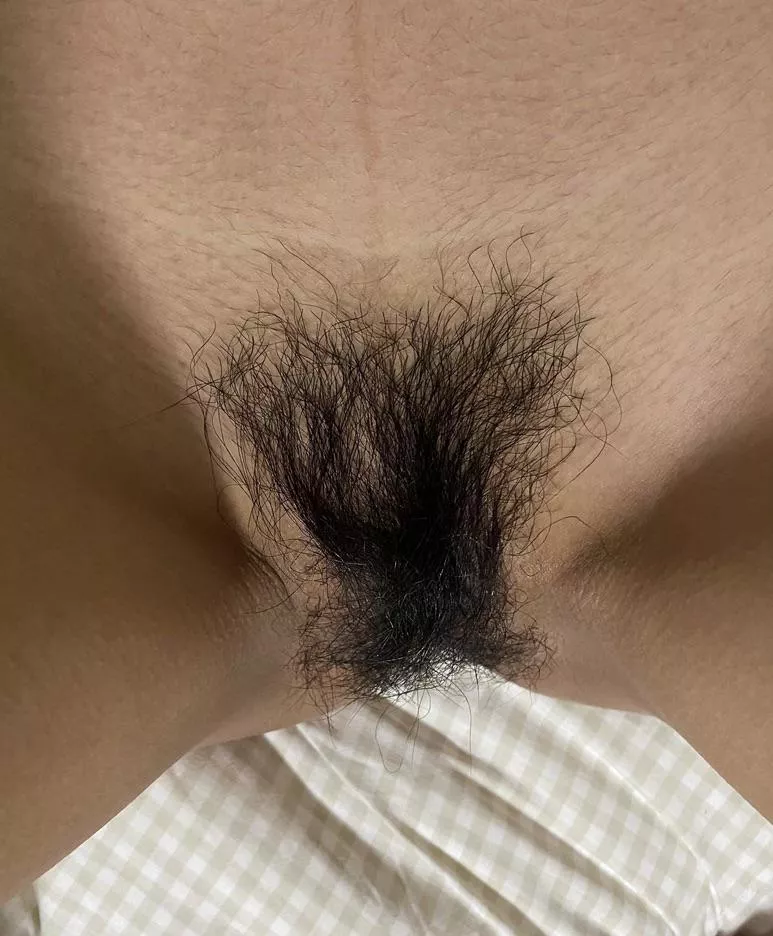 Normal bush posted by Tight-World713