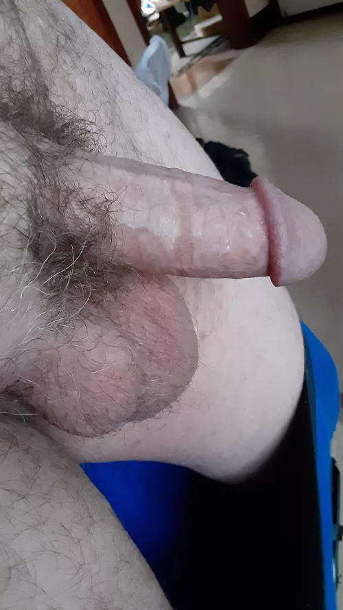 Not much, but it's mine... by XanderScott95