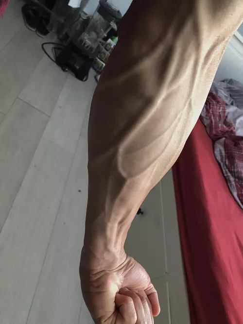 Not quite Midnight forearm by gutpunchprince