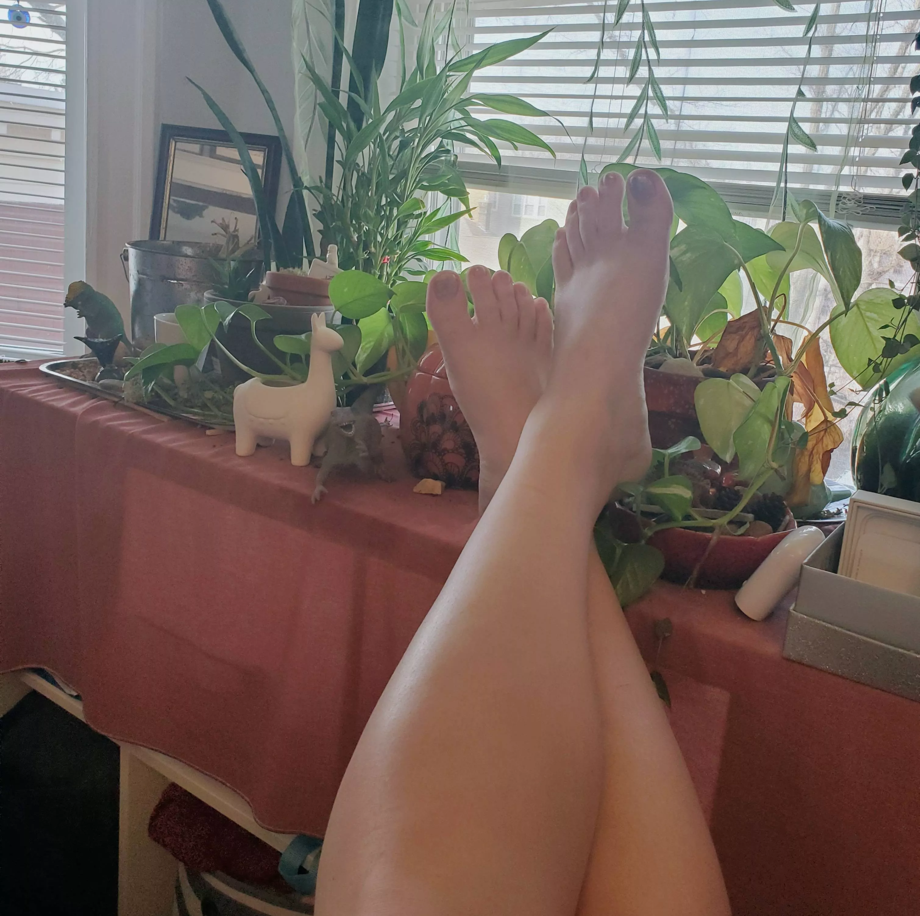 Not quite warm enough to take these on the porch posted by vrpl2