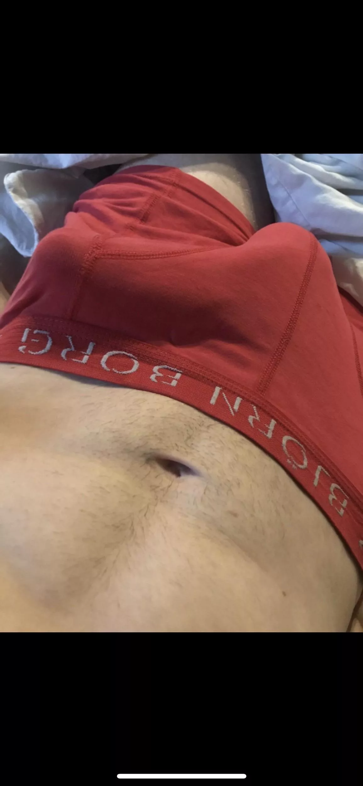 Not sure my boxer can handle it💁‍♂️ posted by Historical_Dot9508