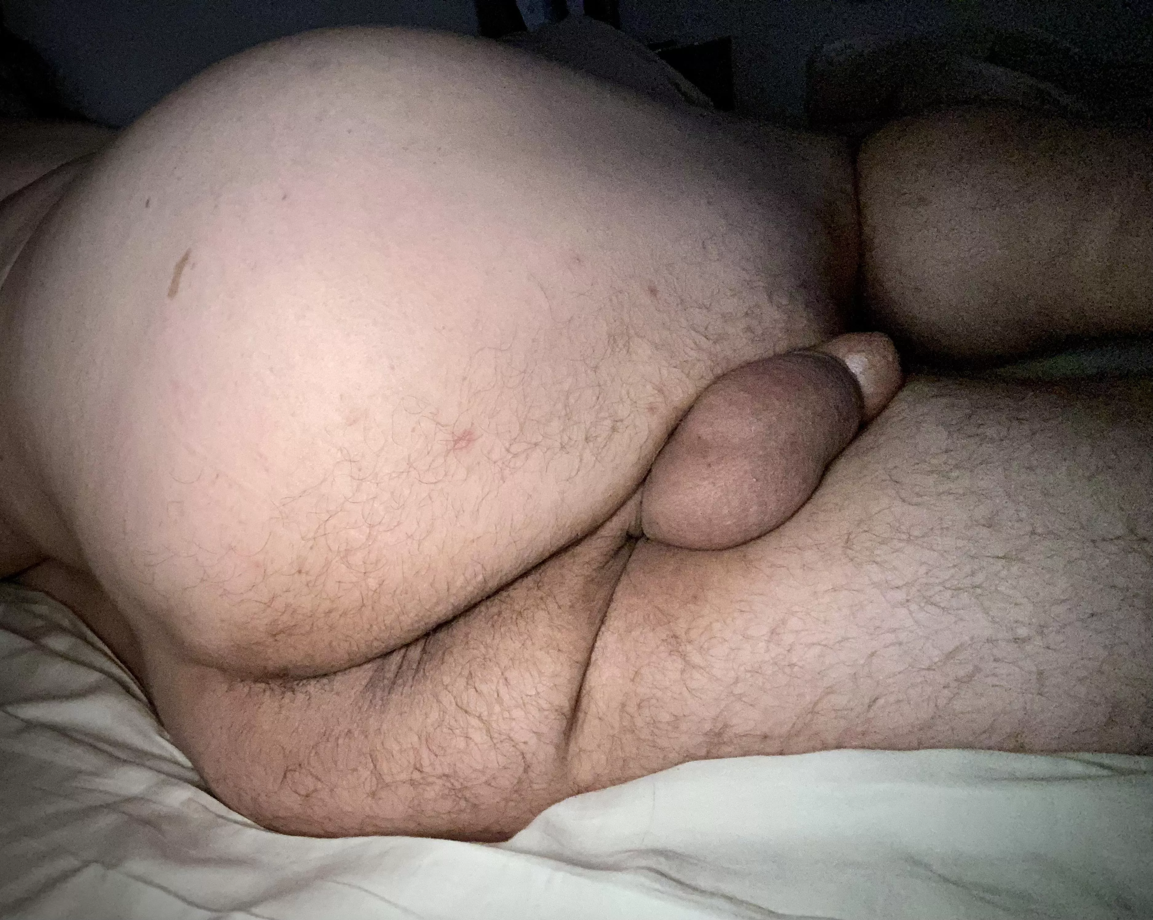 Not the furriest but it’s still a man ass. posted by mytaintwastoight