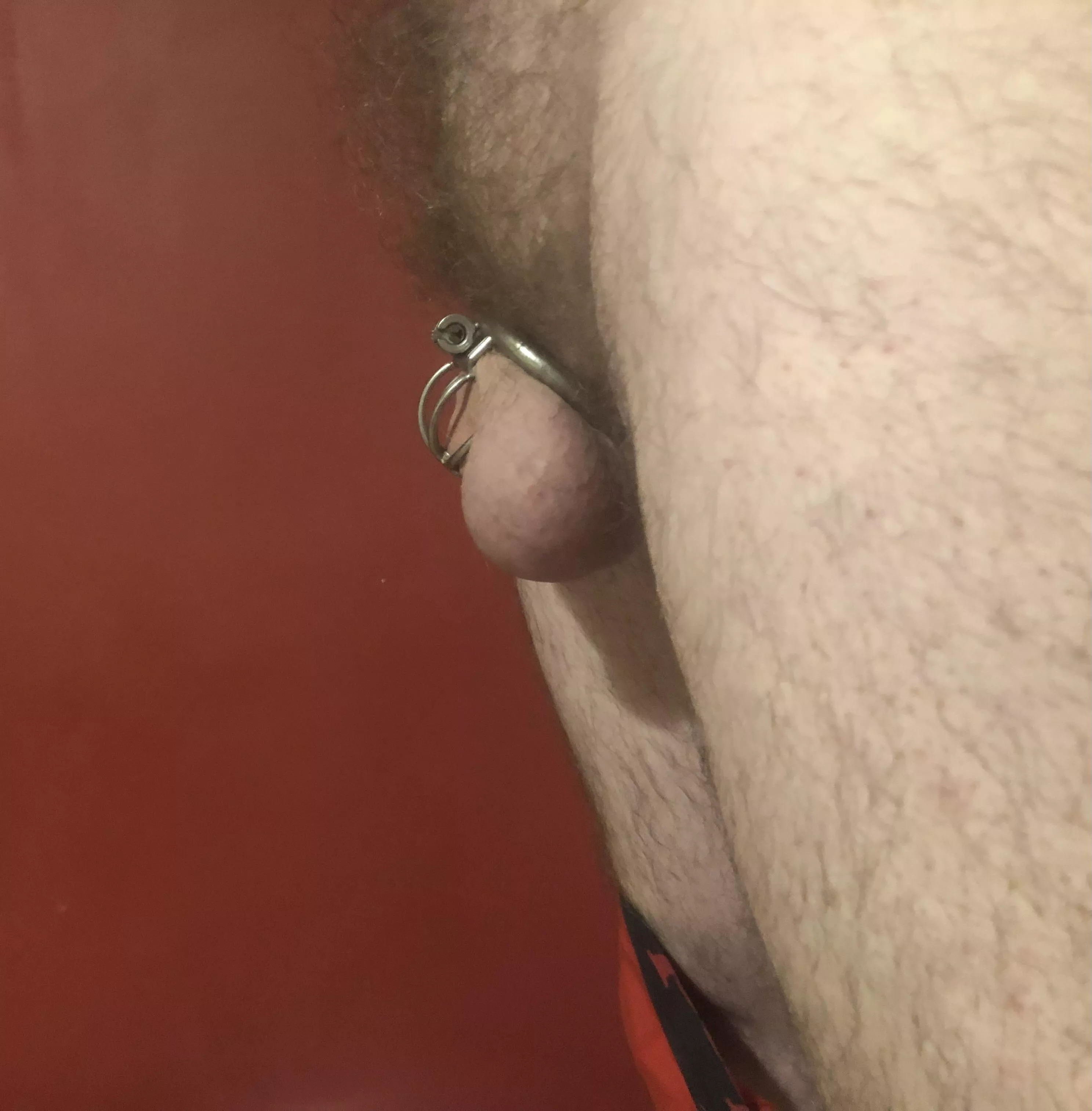 Nothing to see here🥺 posted by tinywink