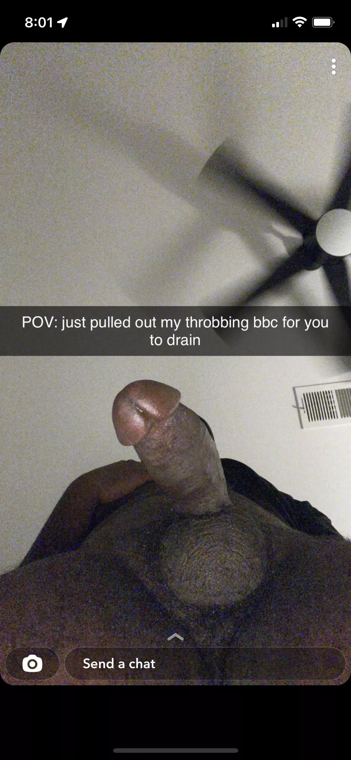 Nova BBC bull dms open posted by Similar-Ad5101