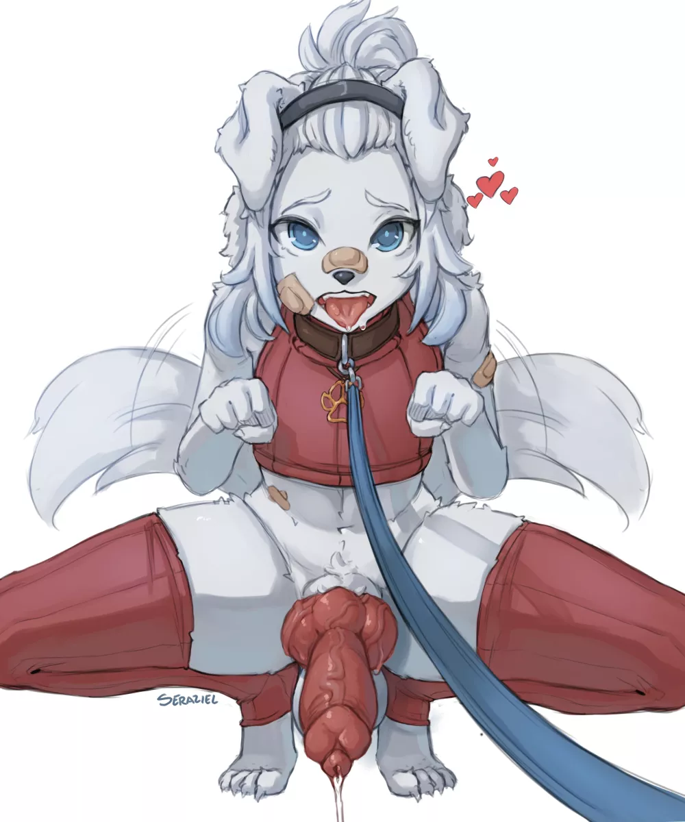 Now beg [M] (Seraziel) posted by OwO_Bot