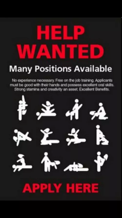 Now Seeking Verse Will Train Great Job with Benefits by sassytgirl