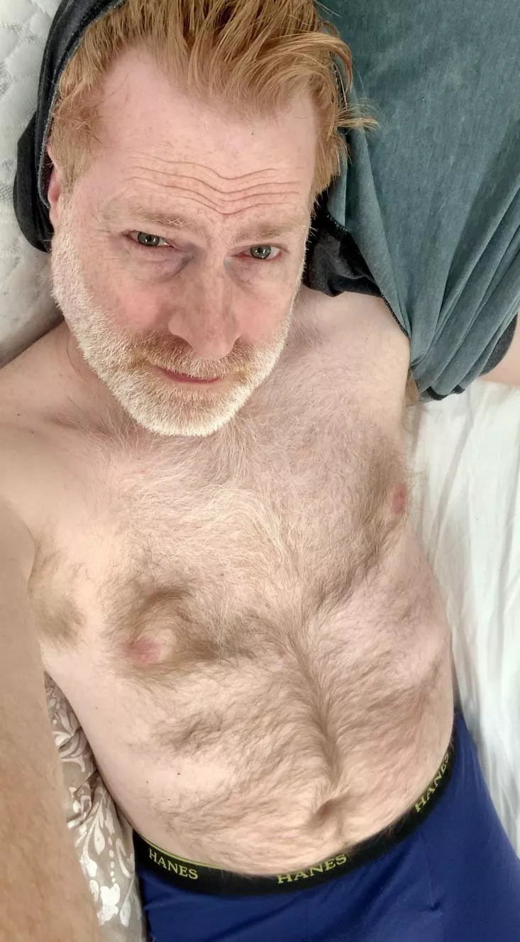 Now that this pesky shirt is out of the way, how about we… posted by ZelaznyFan68