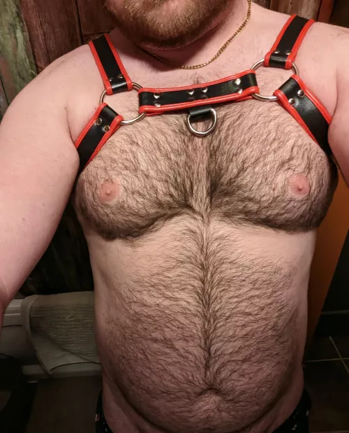 🐻 Now what to wear on the bottom... 🤔 by EmeraldCub