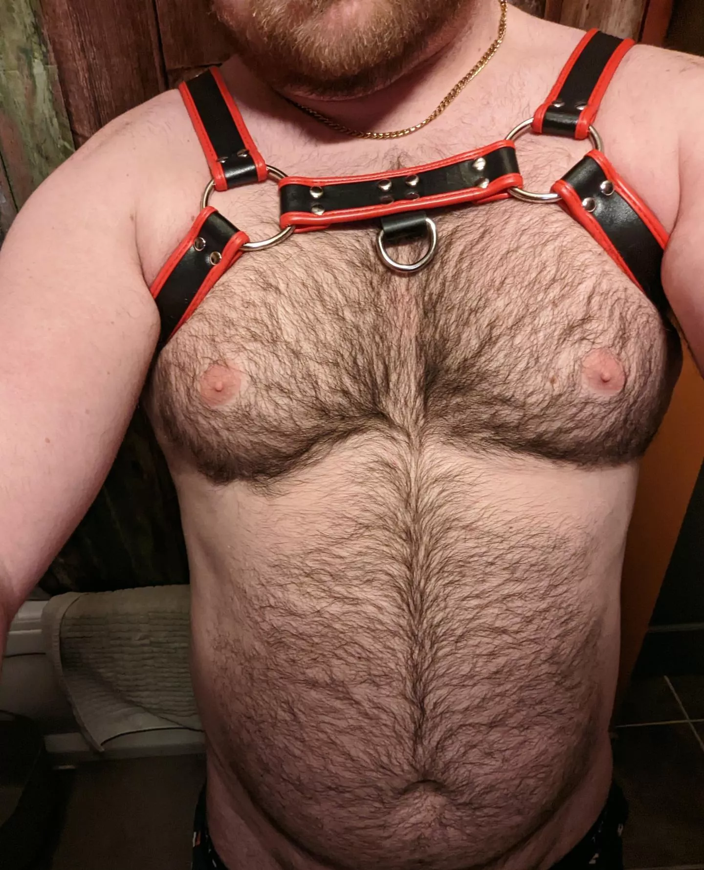 🐻 Now what to wear on the bottom... 🤔 posted by EmeraldCub