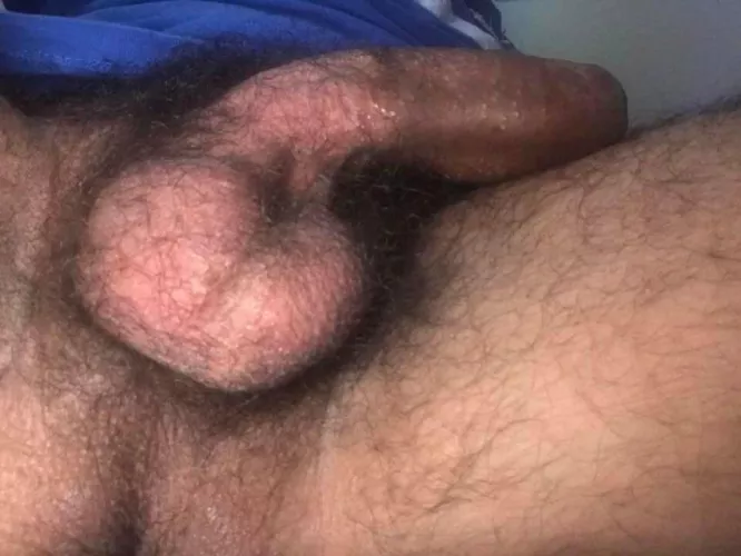 Nuts in your face… by sminty2000