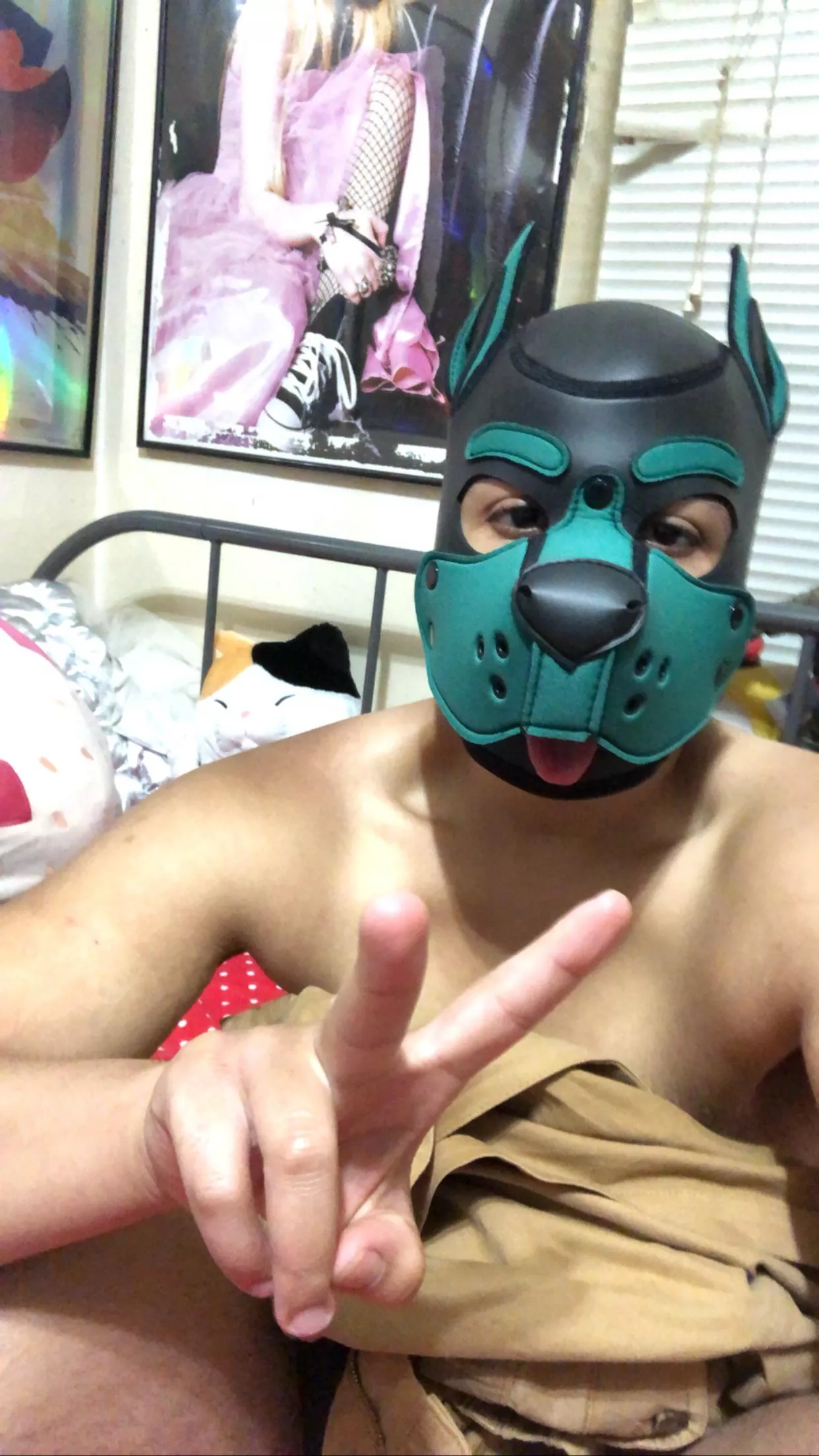 Nyc pups or Las Vegas Friends? posted by Emeryezra