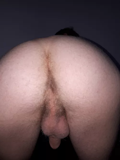 O_o by AmeisenIgelChen