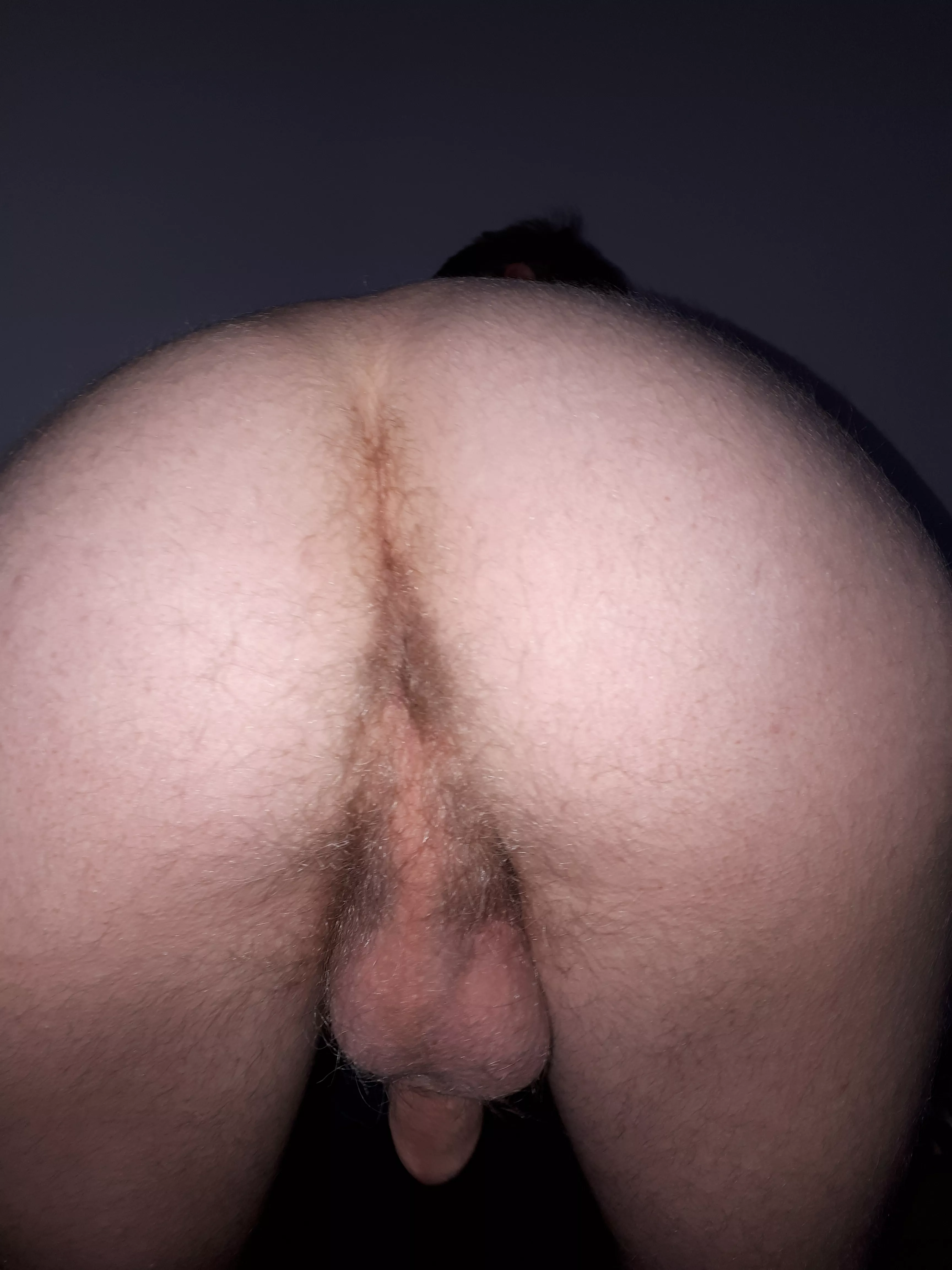 O_o posted by AmeisenIgelChen