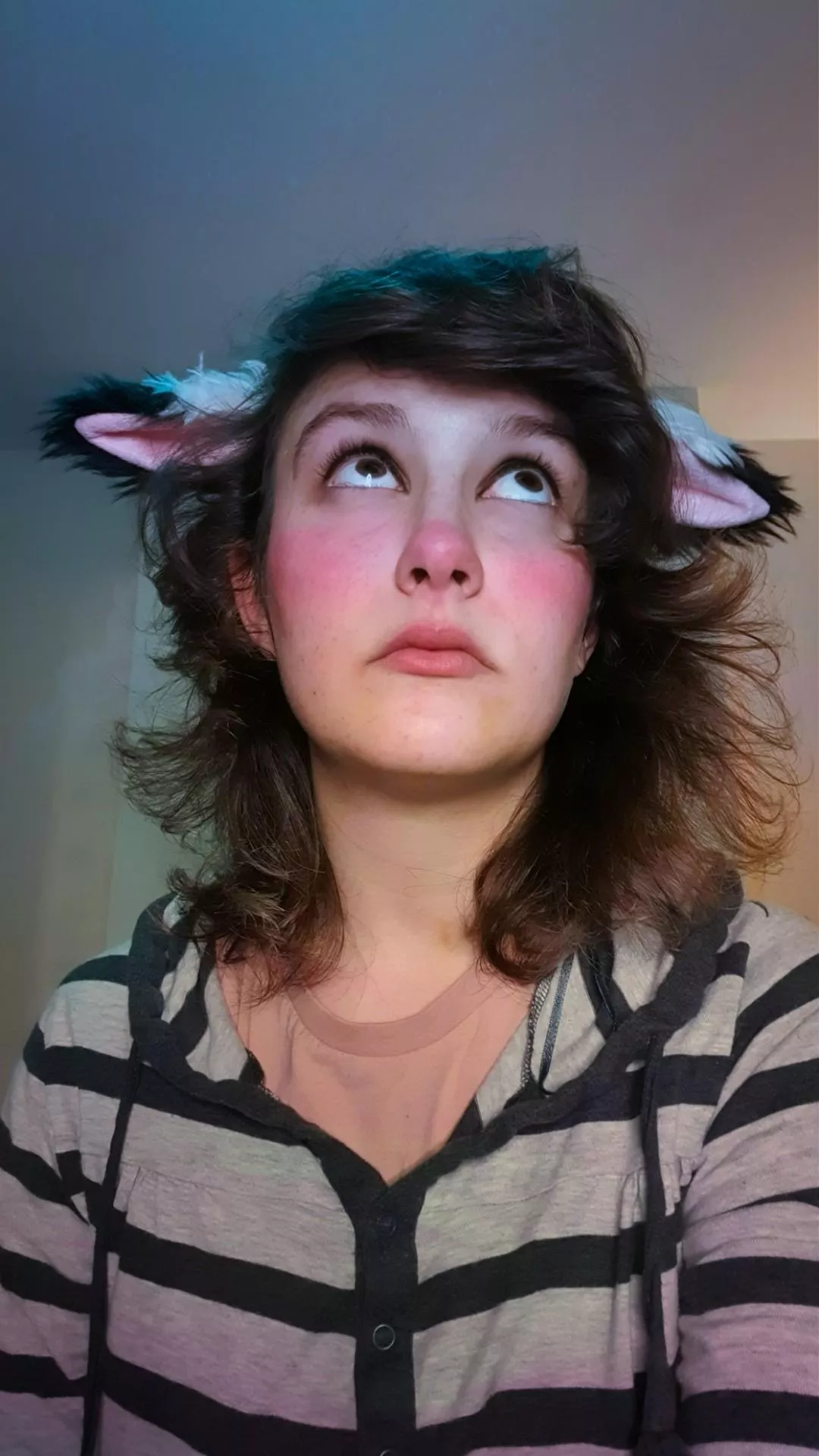 [OC] Back at it again with the floppy ears _/0w0\_ posted by S_e_q_u_o_i_a