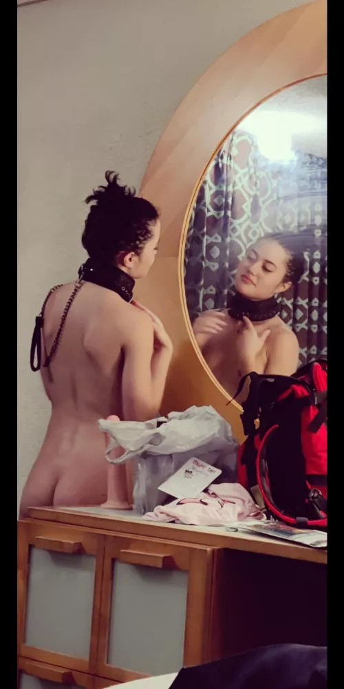 OC collared and proud by Accurate_Ad_4334