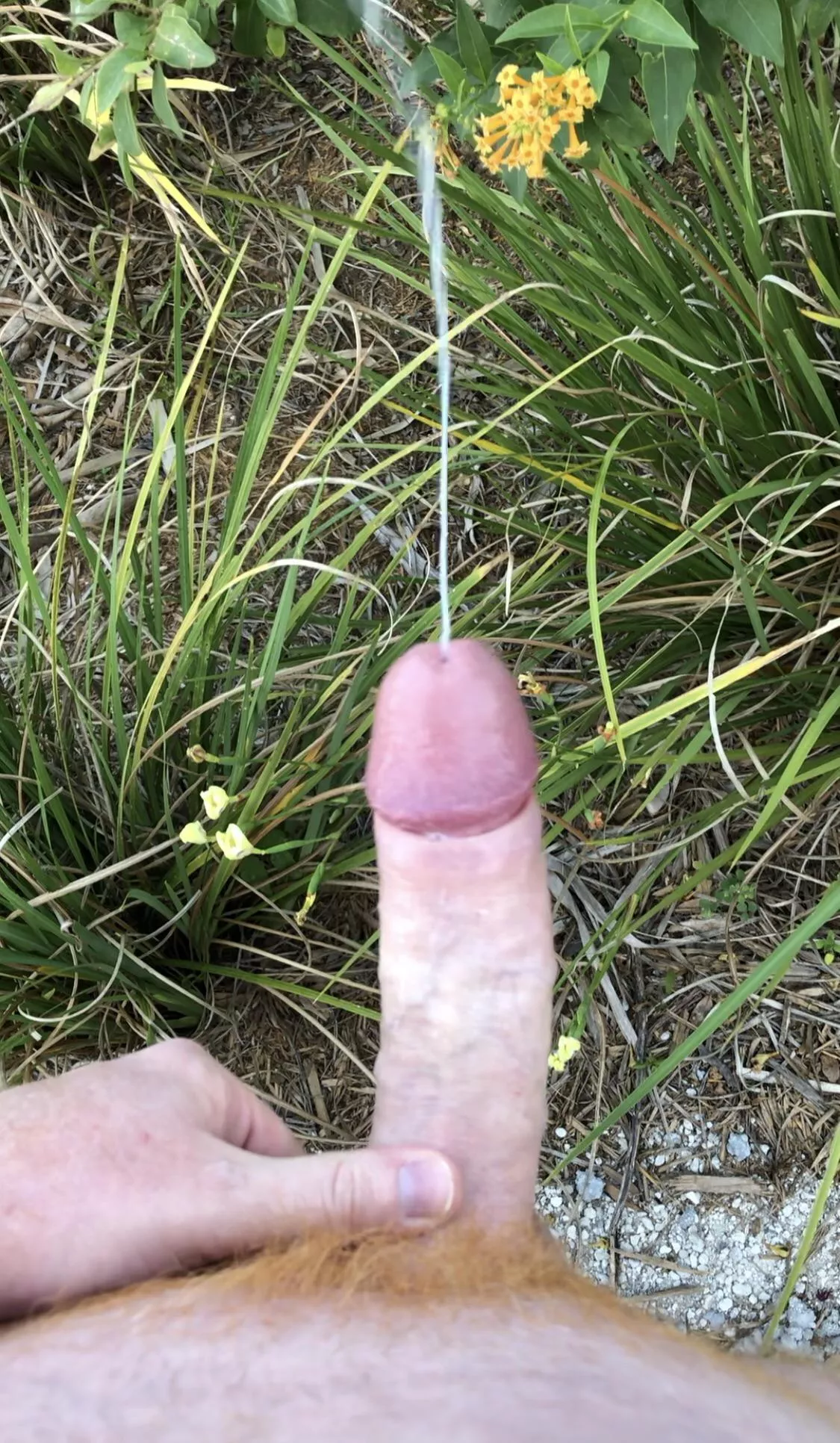 [OC] I came so hard I had to hide in the bushes posted by Rude_Guess