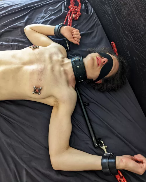 [OC] If the bunny isn't tied up, does it even count? by MrAnonPoster