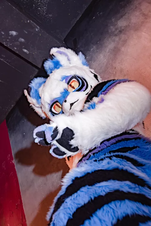 Oh Hello There Tiny Hooman! by skyhi14