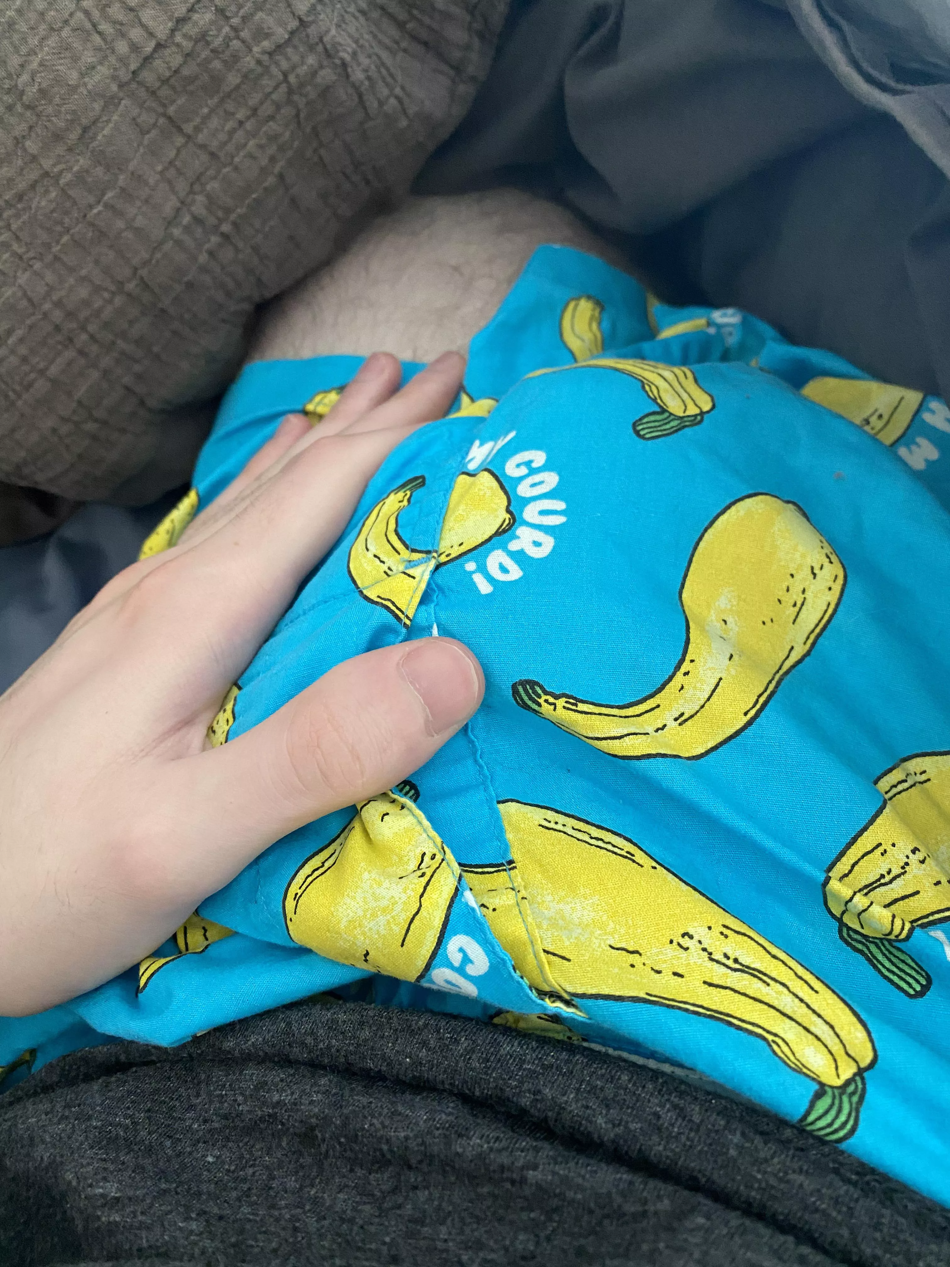 Oh my gourd - morning edition posted by FreddieAlfredo