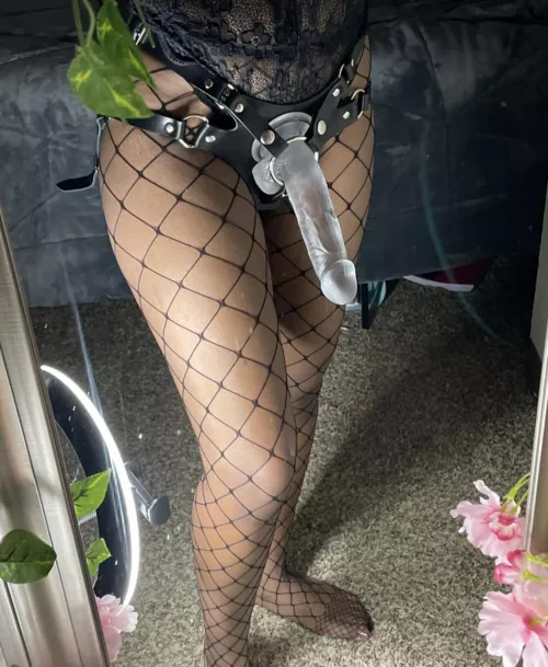 Oh my! You finally found your new [domme], congrats! by Allmyni