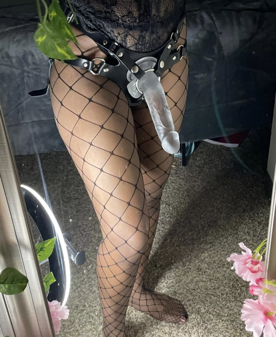 Oh my! You finally found your new [domme], congrats! posted by Allmyni