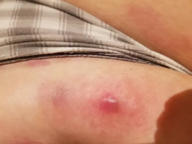 oh sweet jesus it's huge by ANGRY-TANK-SWAN