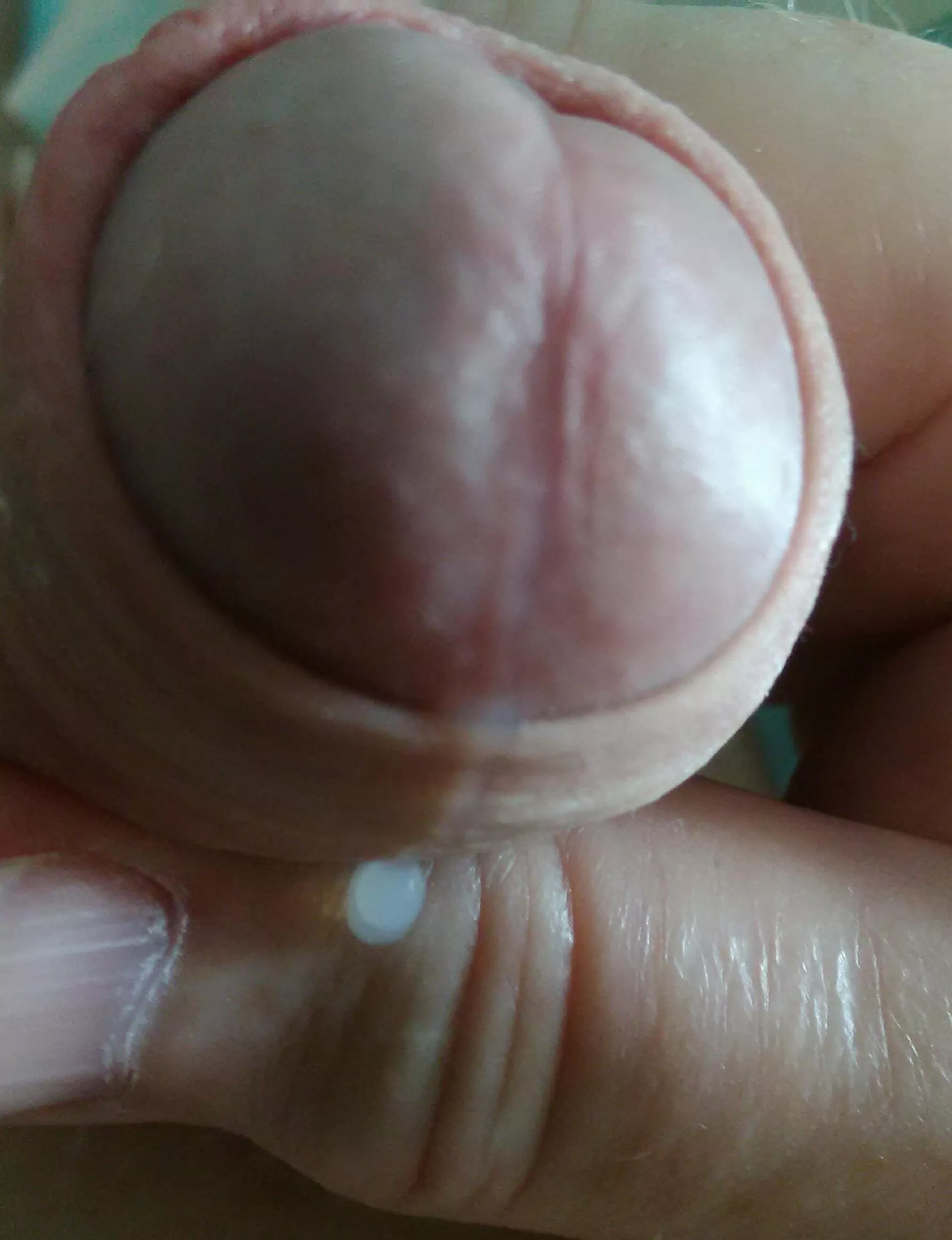 omg some escaped ! posted by hear4funbob