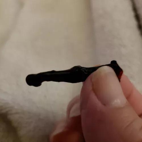 On blood thinners and had a six hour bloody nose yesterday. Liberate this from my nose today. It's firm, so weird! by No_Pianist_9317