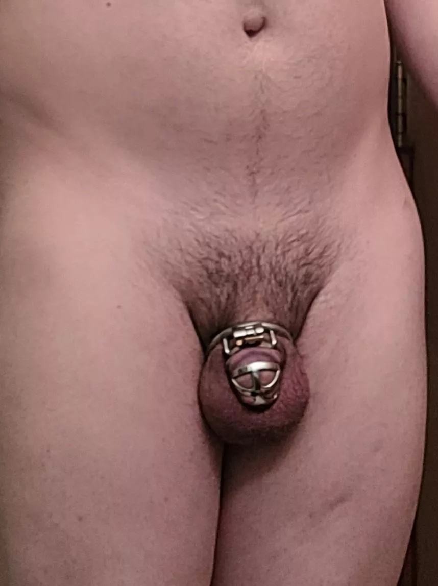 On my 3rd year of chastity with no cumming posted by No-Promotion1970