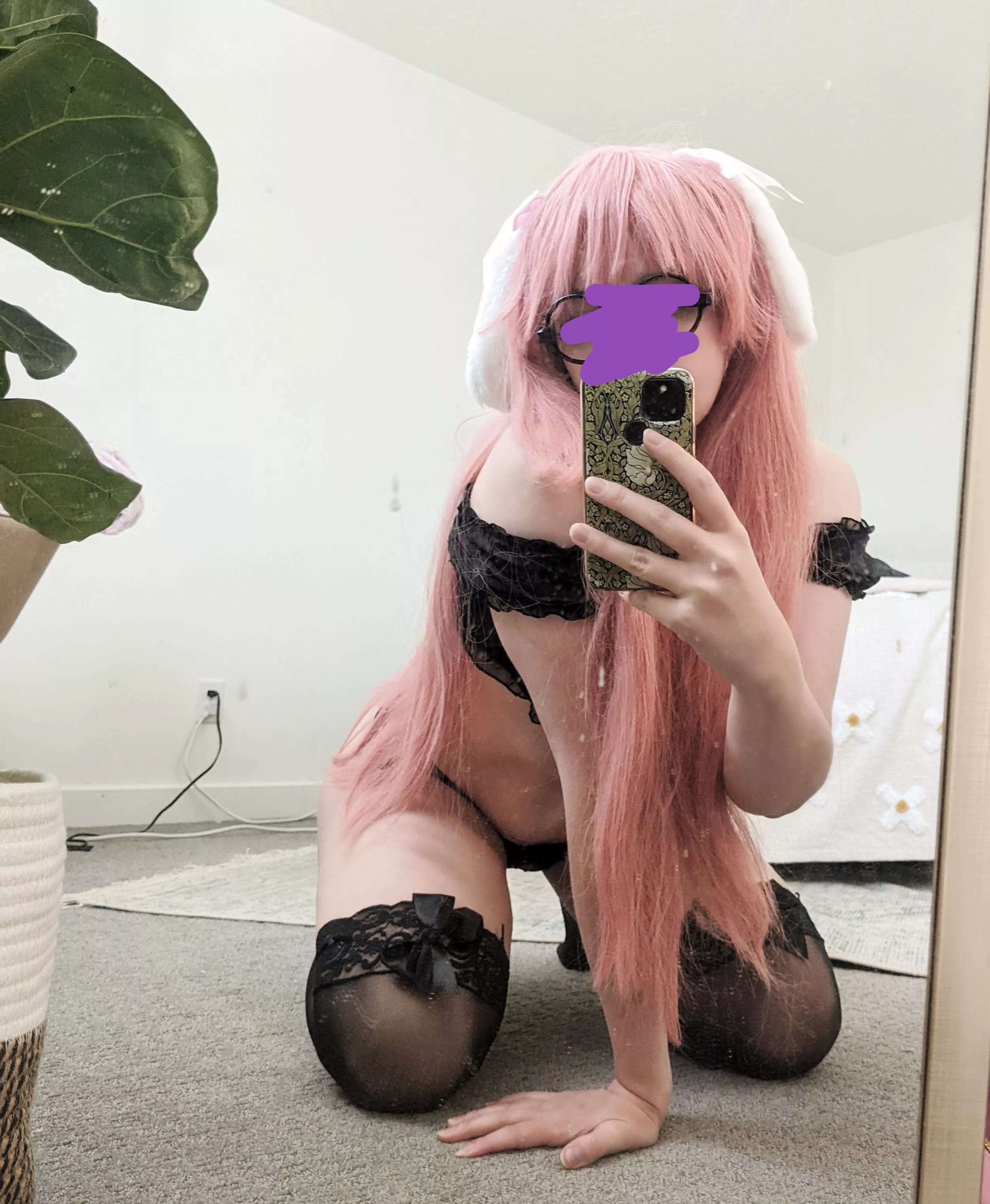 on my way to get pets from my Owner posted by deadflowerwater