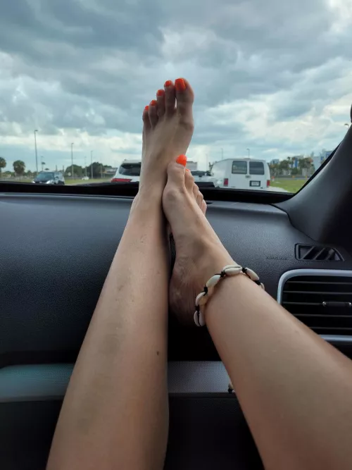 On the way by polyfloridacouple