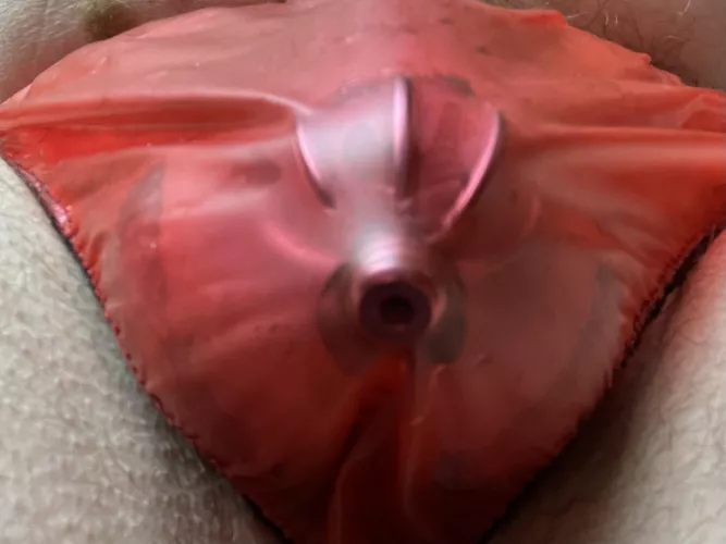 One of my prefered cages w plug by Looker02