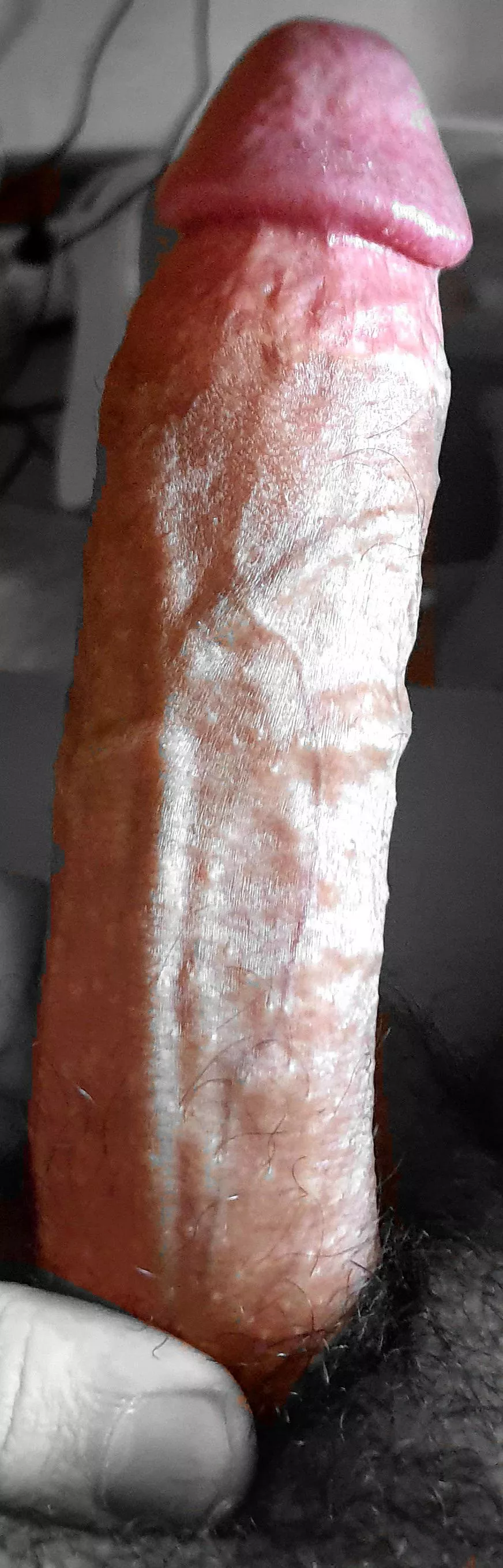 One of the few erections I've gotten since I started taking antidepressants posted by BirdOfHermes1588