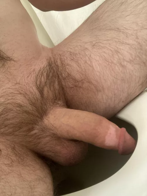 One of the perils of having a 5.5-6” soft dick is having it dip into toilet water; you gotta sit as far back on the seat as possible 🤷🏼‍♂️ by Some_Mathematician66