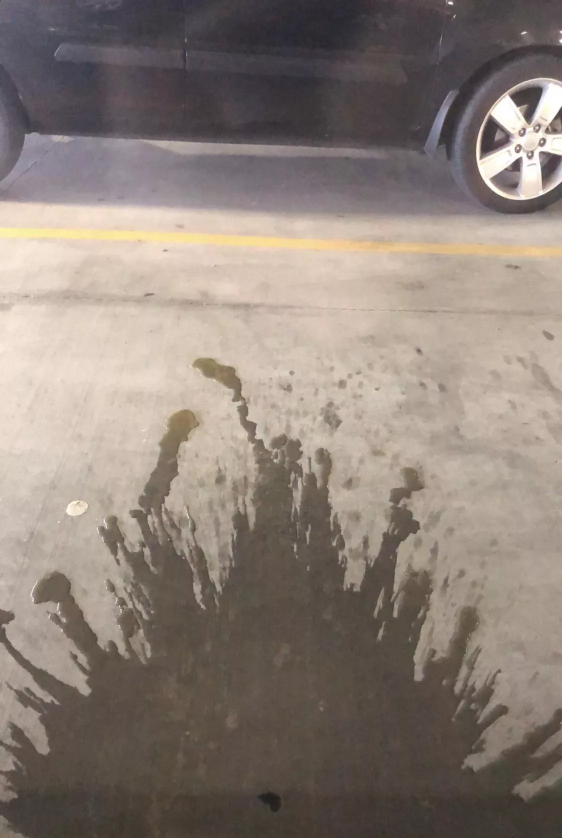 one year ago today of that time my ex pissed in a cup and made me dump it out the window… posted by PiccoloSuccessful476