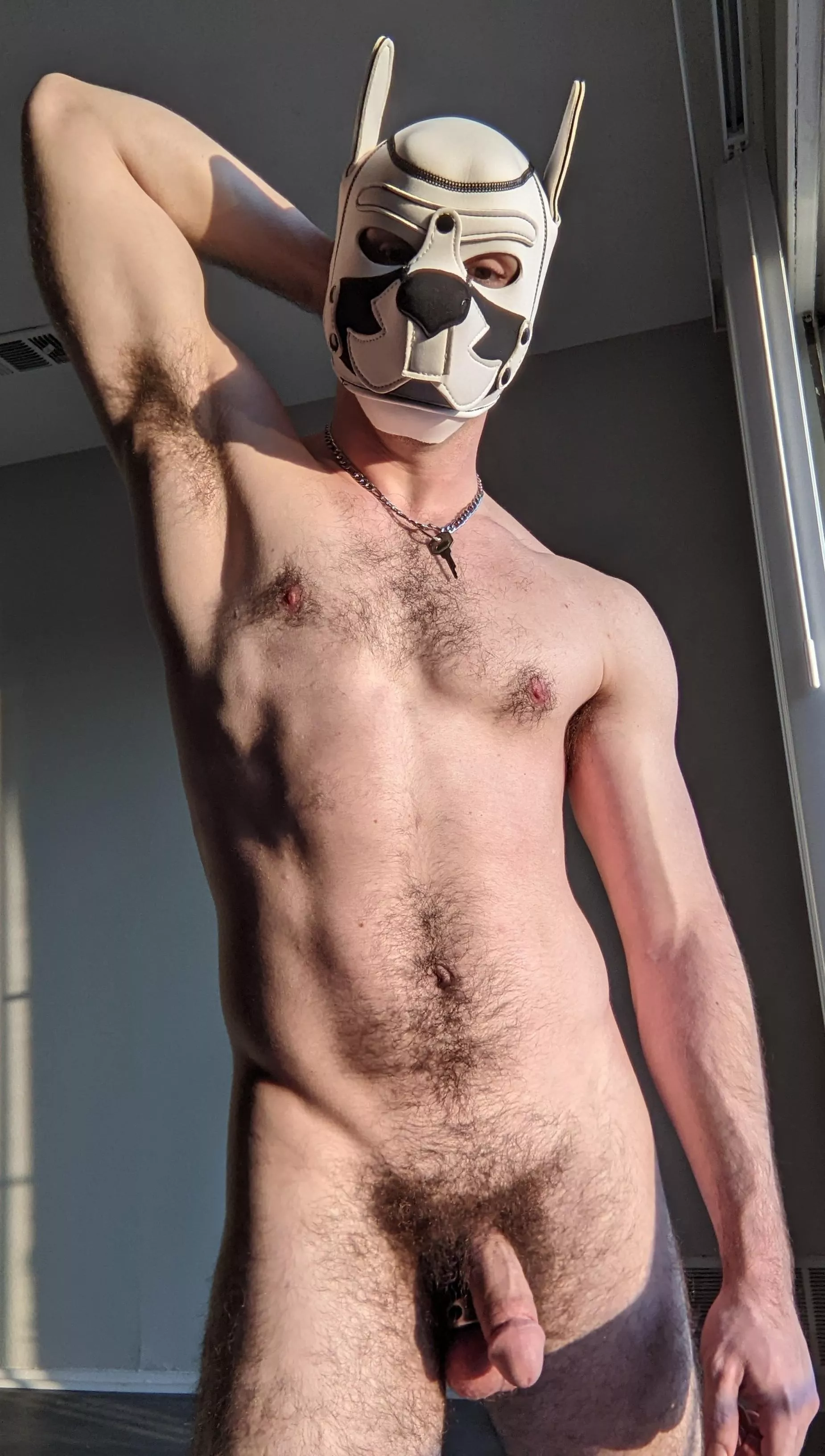 Only good pups get to play posted by KaiDragneel