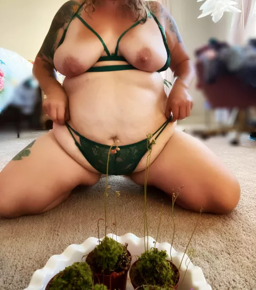 Oof…how about something hard on the eyes to draw…oh yea there’s sundew plant in this pic by Amelia_jones2087