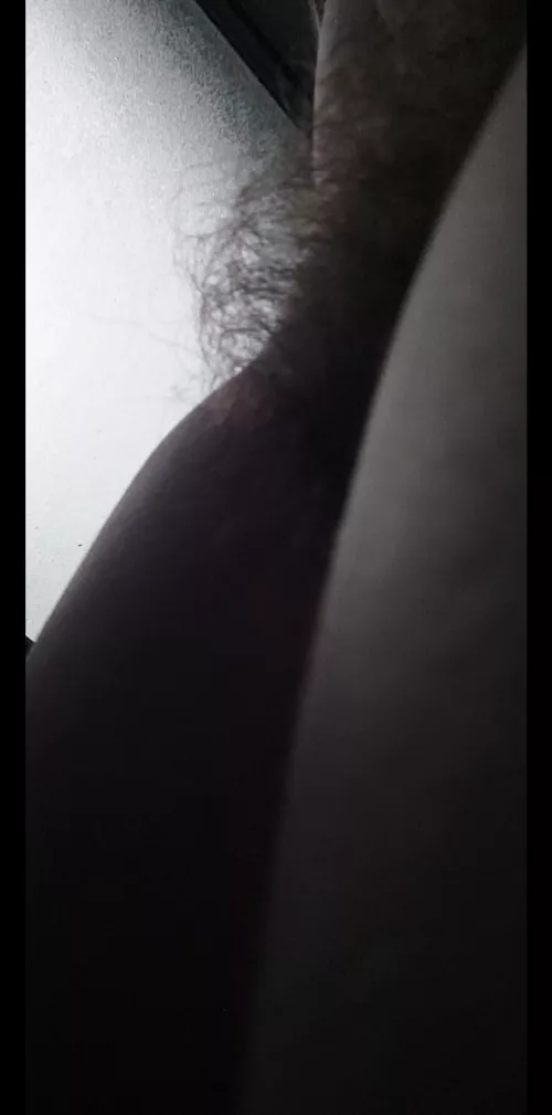 Ooops I left the porch light on .....Hows My Silhouette? by naturalbushblondieNz